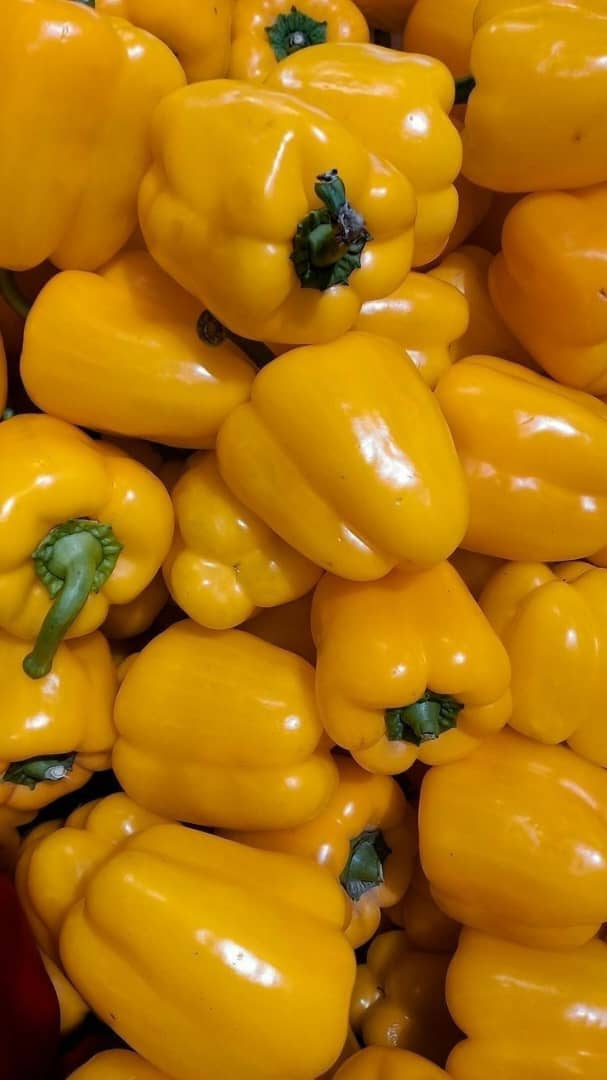 Yellow pepper